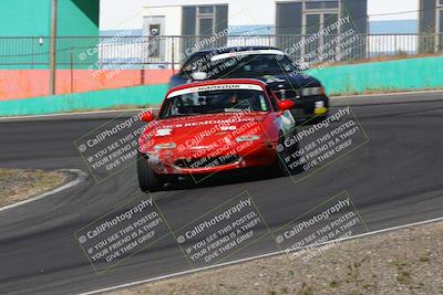 media/May-04-2024-Lucky Dog Racing (Sat) [[d39539b3f3]]/Practice I Qualifying (Turn 4a)/
